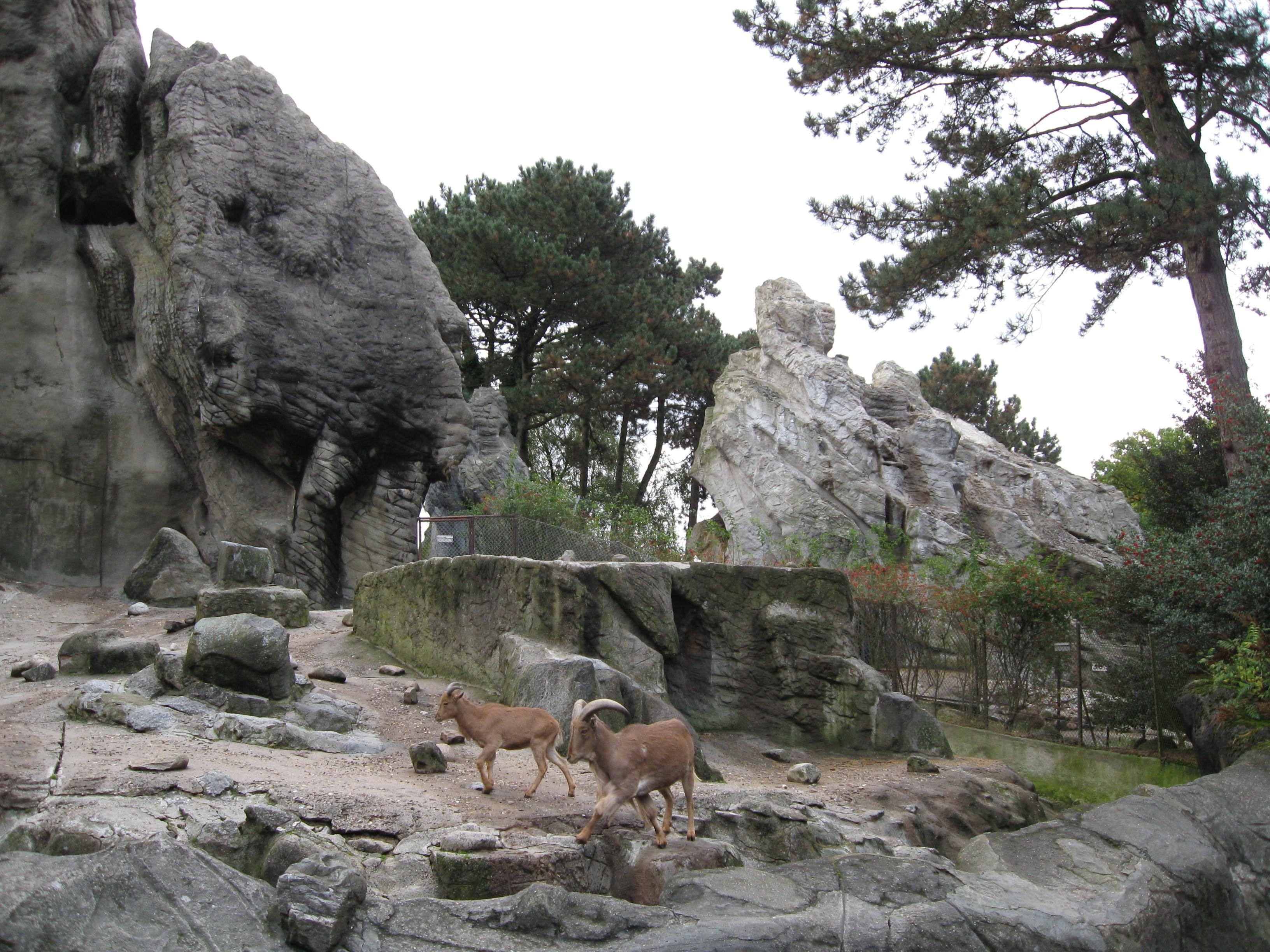 Hagenbeck (01.10.2008) 123