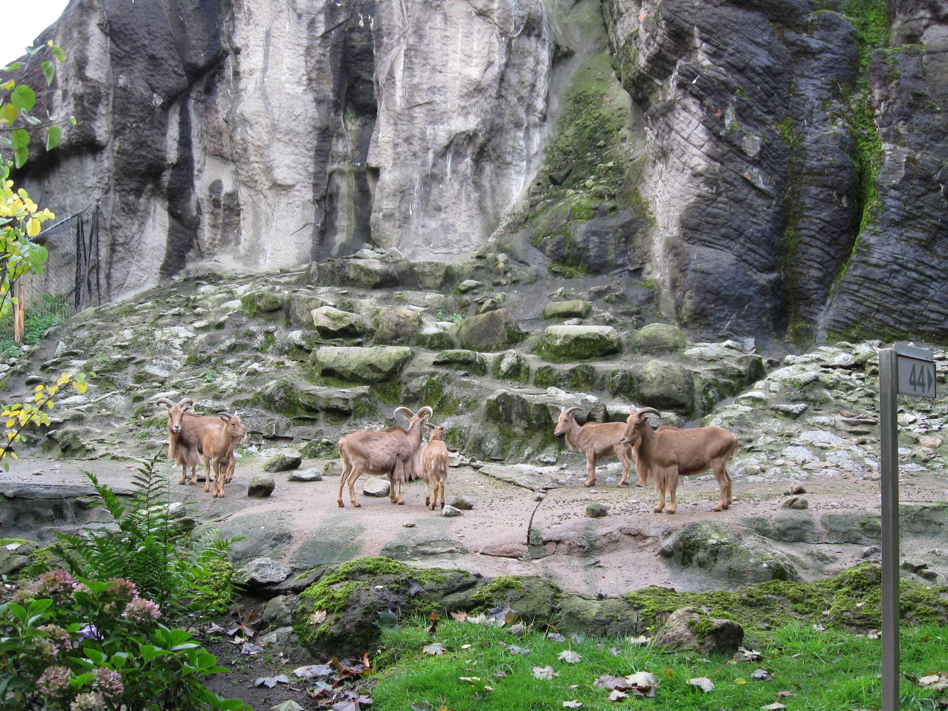Hagenbeck (01.10.2008) 126
