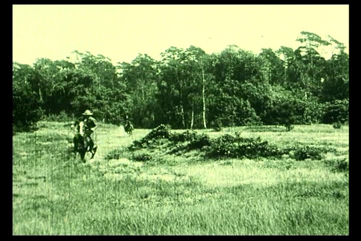 PDVD_086