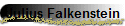 Julius Falkenstein